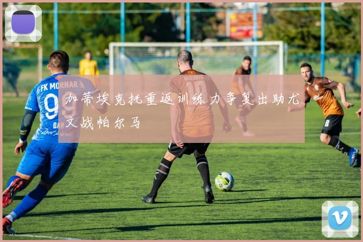 加蒂埃克托重返训练力争复出助尤文战帕尔马
