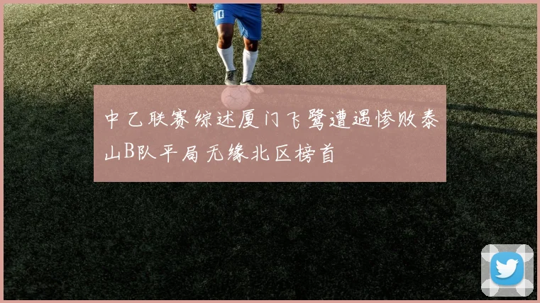 中乙联赛综述厦门飞鹭遭遇惨败泰山B队平局无缘北区榜首